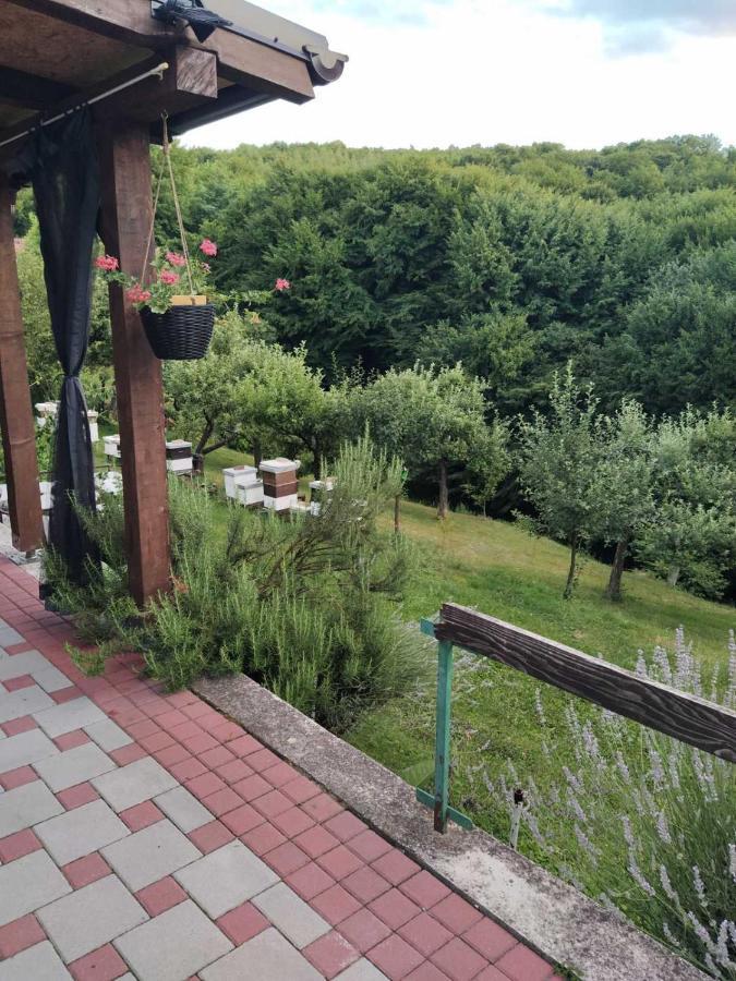 Guest House Bee Visoko Buitenkant foto