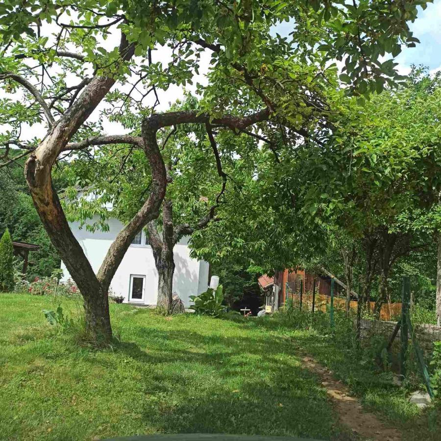 Guest House Bee Visoko Buitenkant foto