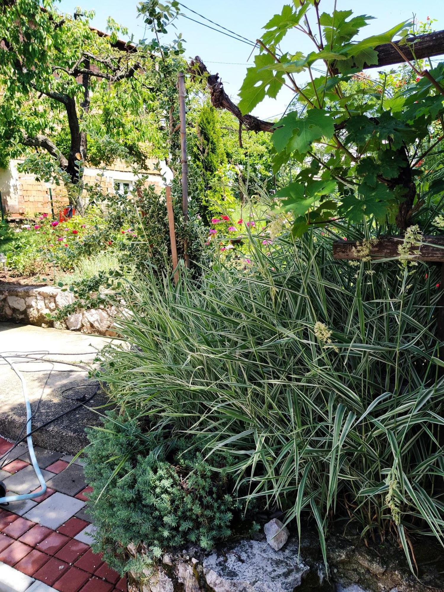 Guest House Bee Visoko Buitenkant foto