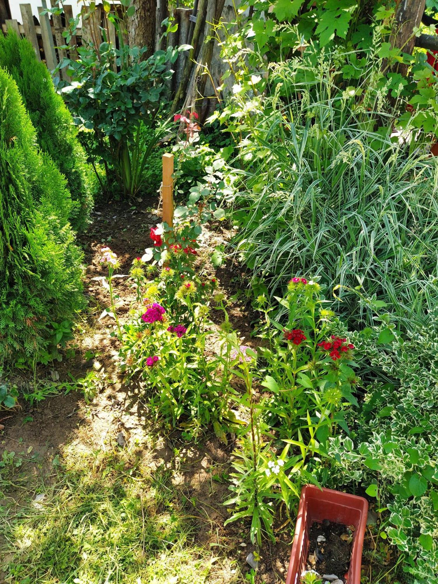 Guest House Bee Visoko Buitenkant foto