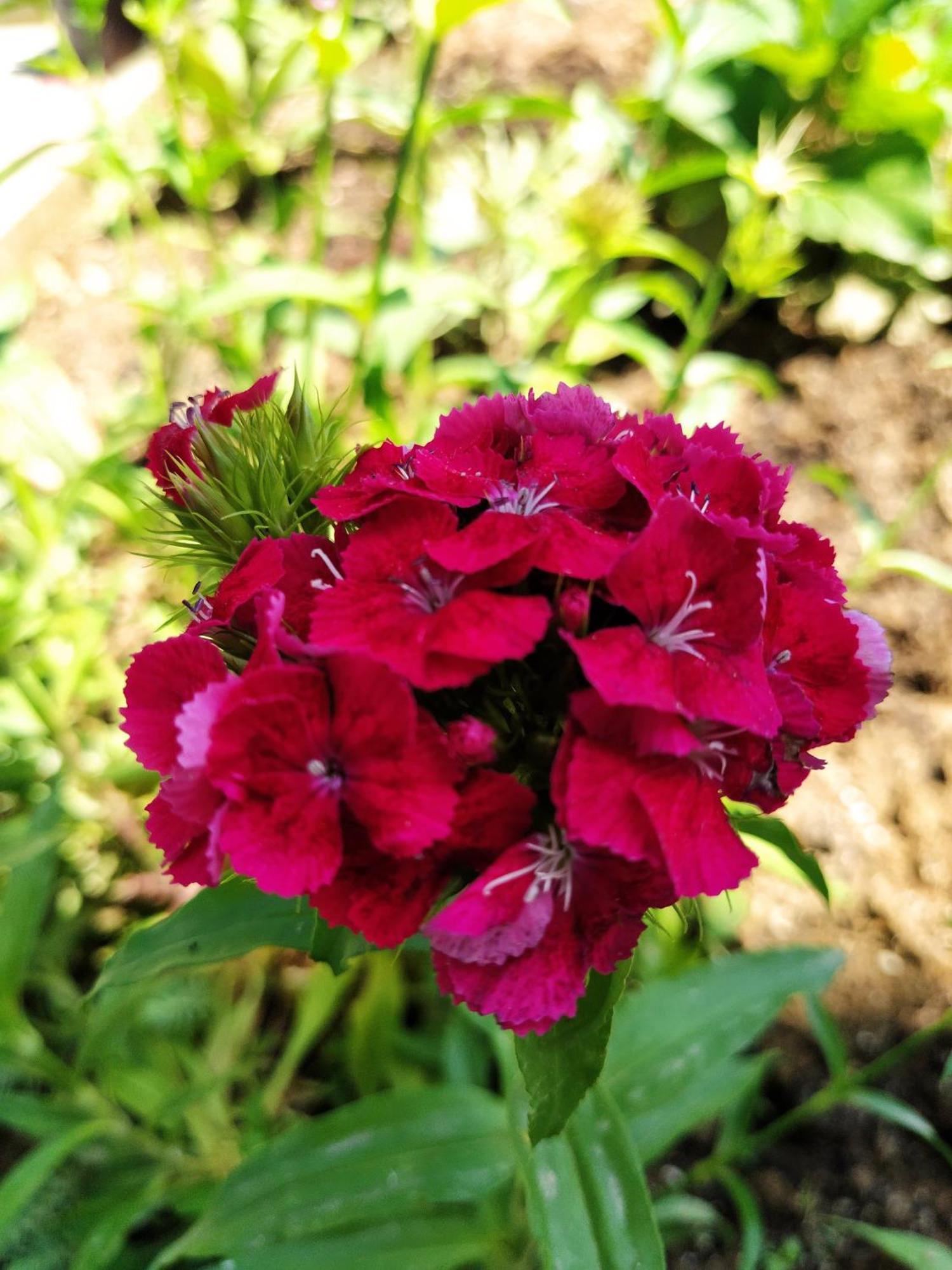 Guest House Bee Visoko Buitenkant foto