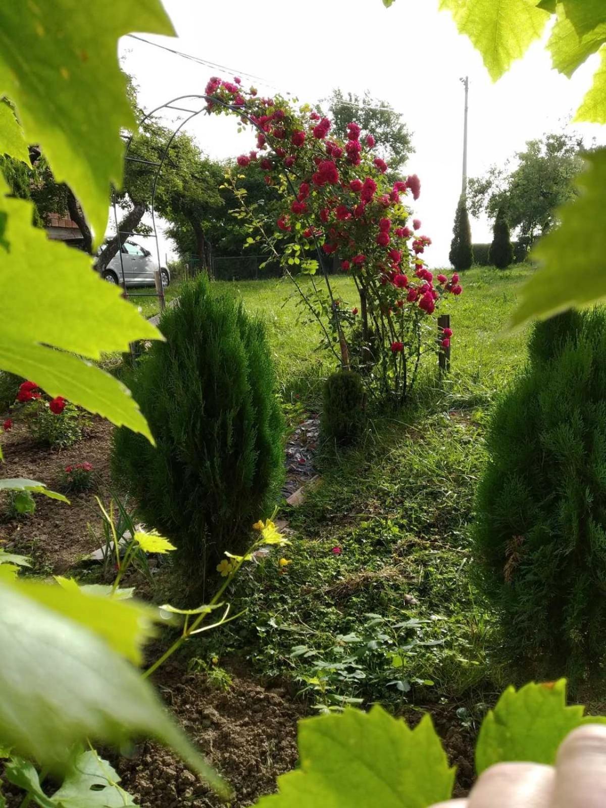 Guest House Bee Visoko Buitenkant foto