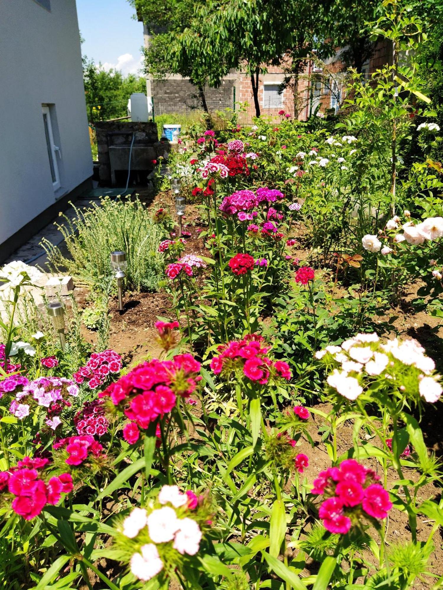 Guest House Bee Visoko Buitenkant foto